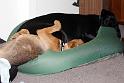 Sandy and Bas_10732